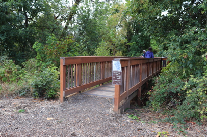 Wooden bridge off Pintail Pond Loop Trail – leads to observation deck with stairs to Oregon Ash Trail